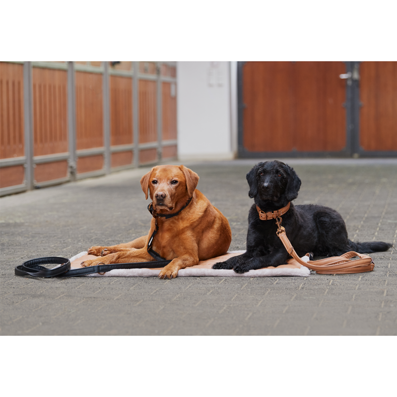 Eskadron Faux Leather Dog Collar and Lead Set Platinum SS23 - Cognac-1